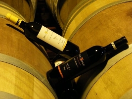 VINYES BINITORD DE MENORCA - Îles Baléares - Produits agroalimentaires, appellations d'origine et gastronomie des Îles Baléares