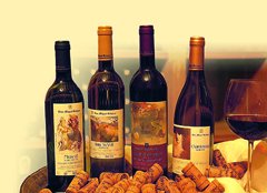 VINS MIQUEL GELABERT - Îles Baléares - Produits agroalimentaires, appellations d'origine et gastronomie des Îles Baléares