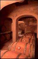 VINS NADAL - Balearen - Agrarnahrungsmittel, Ursprungsbezeichnungen und balearische Gastronomie