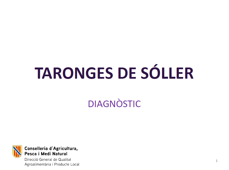 Diagnòstic de les taronges de Sóller de les Illes Balears 2023 - Entrades - Illes Balears - Productes agroalimentaris, denominacions d'origen i gastronomia balear