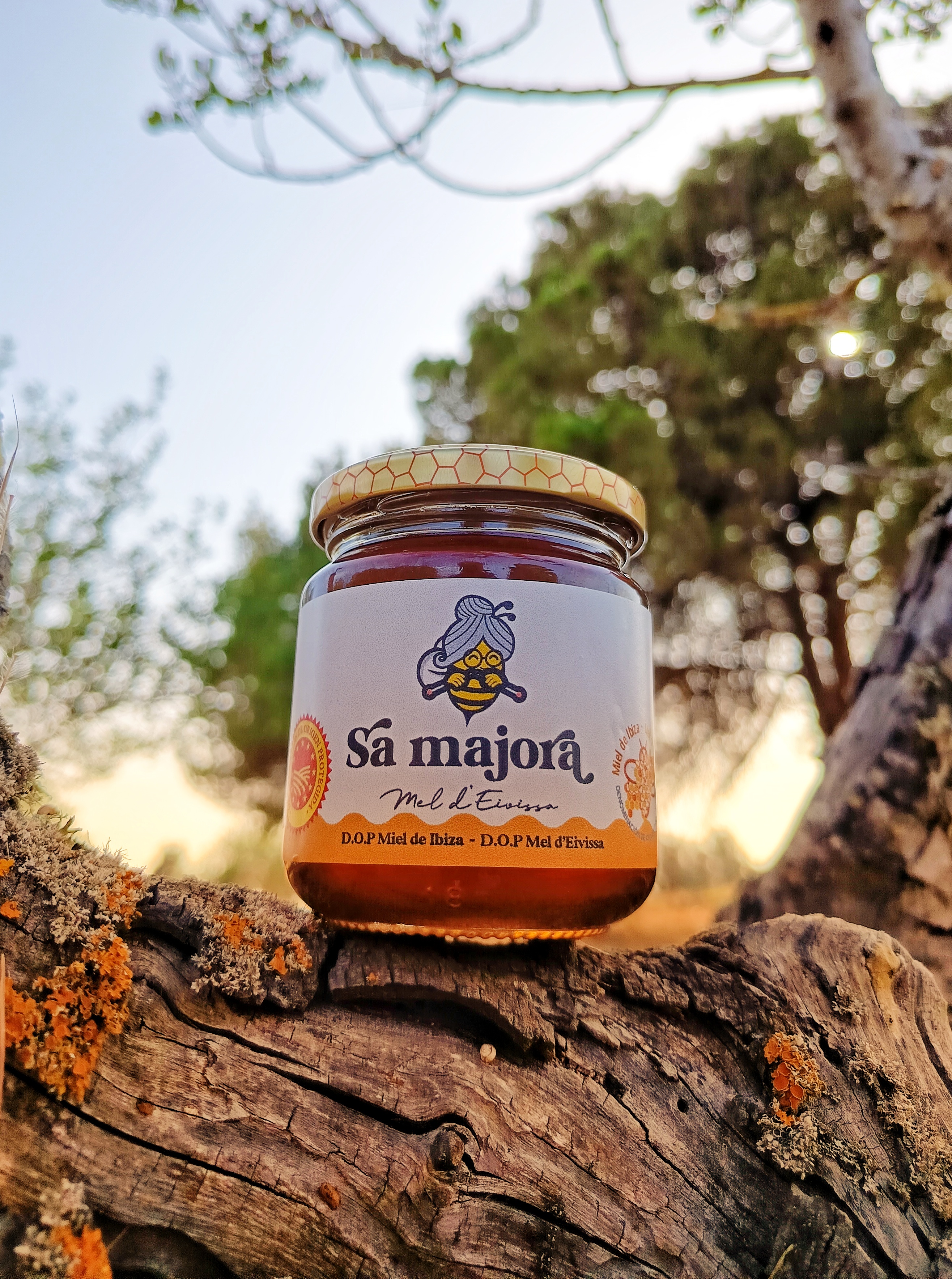 Sa Majora - Balearic Islands - Agrifoodstuffs, designations of origin and Balearic gastronomy
